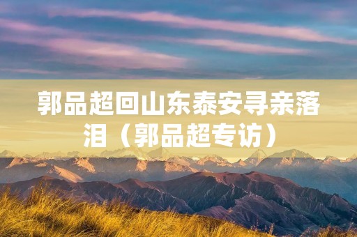 郭品超回山东泰安寻亲落泪(郭品超专访)