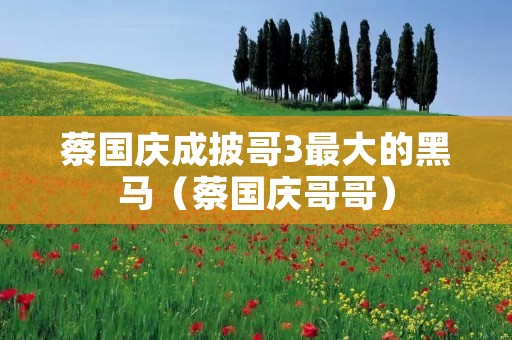 蔡国庆成披哥3最大的黑马(蔡国庆哥哥)