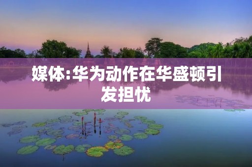 媒体:华为动作在华盛顿引发担忧