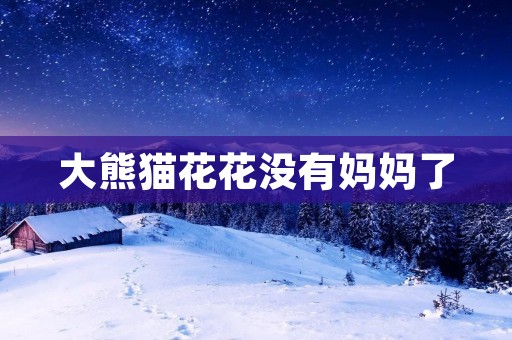 大熊猫花花没有妈妈了