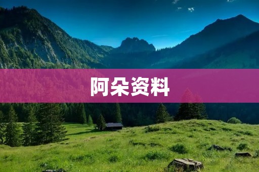 阿朵资料