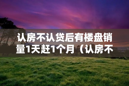 认房不认贷后有楼盘销量1天赶1个月(认房不认贷什么意思)