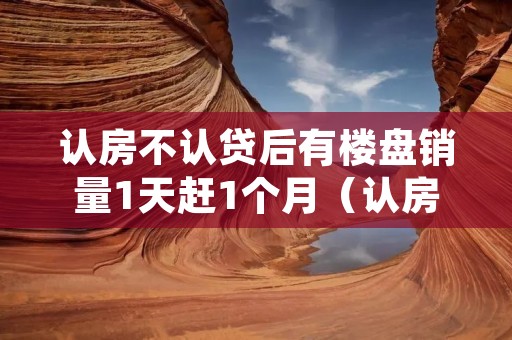 认房不认贷后有楼盘销量1天赶1个月(认房不认贷和认贷不认房)