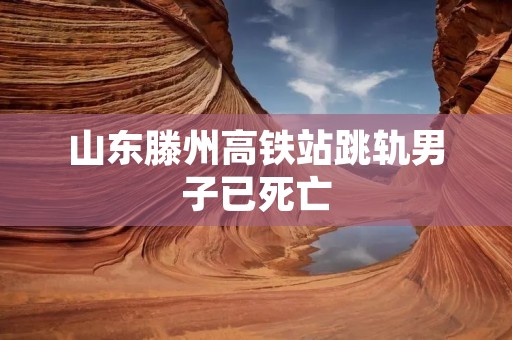 山东滕州高铁站跳轨男子已死亡