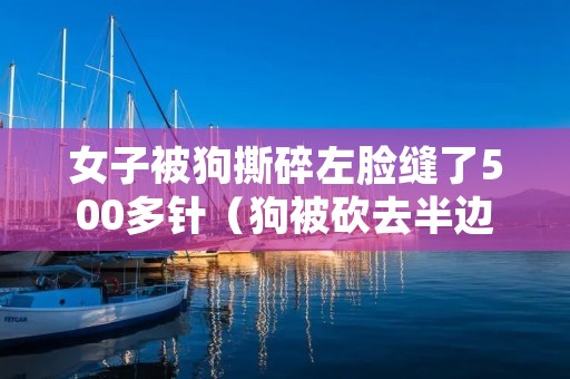 女子被狗撕碎左脸缝了500多针（狗被砍去半边脸）