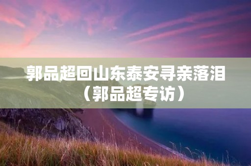 郭品超回山东泰安寻亲落泪(郭品超专访) 郭品超回山东泰安寻亲落泪(郭品超专访)