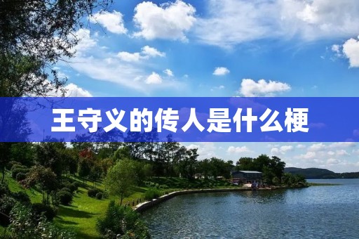 王守义的传人是什么梗 王守义的传人是什么梗