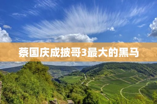 蔡国庆成披哥3最大的黑马