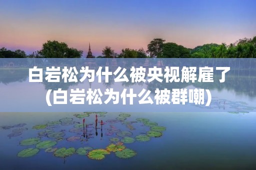 白岩松为什么被央视解雇了(白岩松为什么被群嘲) 白岩松为什么被央视解雇了(白岩松为什么被群嘲)