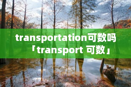 transportation可数吗「transport 可数」