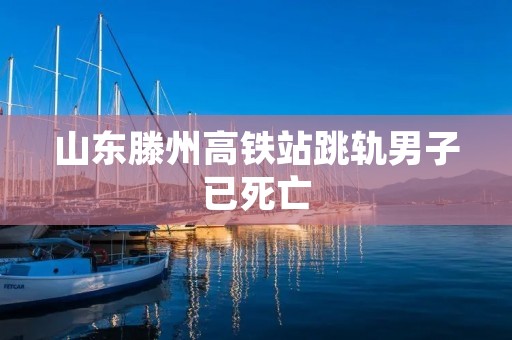山东滕州高铁站跳轨男子已死亡