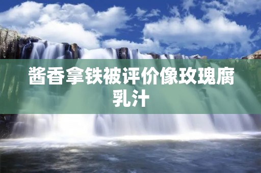 酱香拿铁被评价像玫瑰腐乳汁