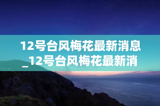 12号台风梅花最新消息_12号台风梅花最新消息今天