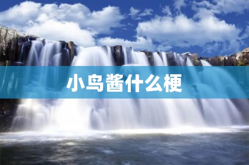 小鸟酱什么梗 小鸟酱什么梗