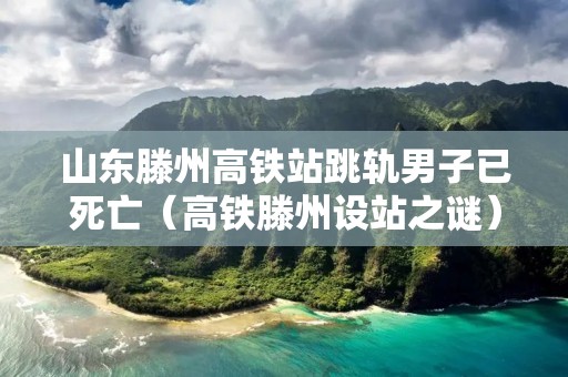 山东滕州高铁站跳轨男子已死亡(高铁滕州设站之谜)