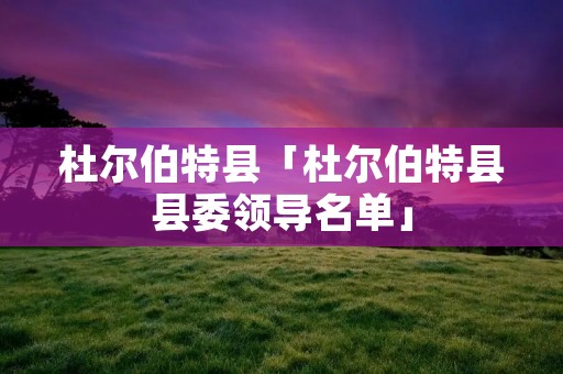 杜尔伯特县「杜尔伯特县县委领导名单」