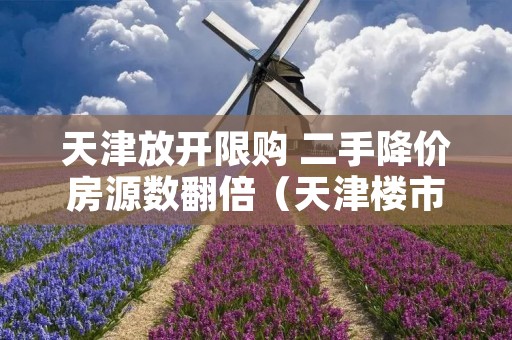 天津放开限购 二手降价房源数翻倍(天津楼市放开限购)