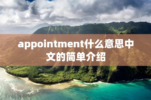 appointment什么意思中文的简单介绍