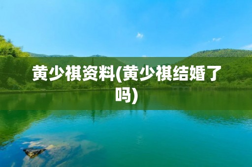 黄少祺资料(黄少祺结婚了吗)