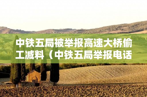 中铁五局被举报高速大桥偷工减料(中铁五局举报电话查询 大全中)