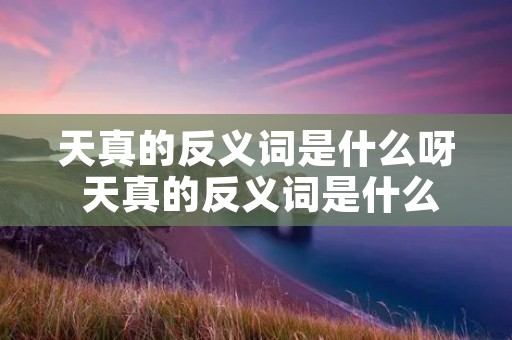 天真的反义词是什么呀 天真的反义词是什么意思