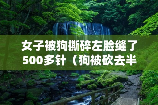 女子被狗撕碎左脸缝了500多针(狗被砍去半边脸)