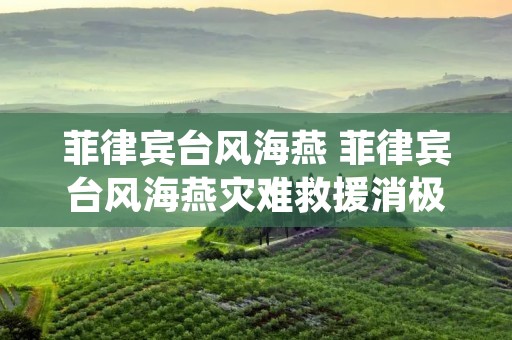 菲律宾台风海燕 菲律宾台风海燕灾难救援消极
