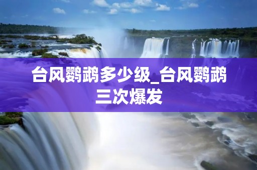 台风鹦鹉多少级_台风鹦鹉三次爆发 台风鹦鹉多少级_台风鹦鹉三次爆发