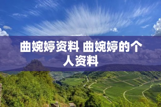 曲婉婷资料 曲婉婷的个人资料