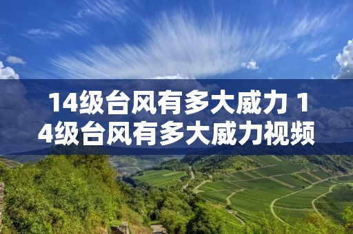 14级台风有多大威力 14级台风有多大威力视频讲解 14级台风有多大威力 14级台风有多大威力视频讲解