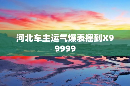 河北车主运气爆表摇到X99999
