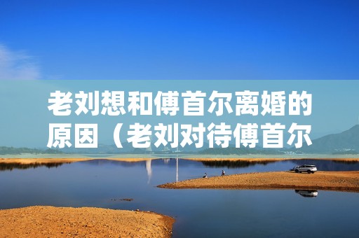 老刘想和傅首尔离婚的原因(老刘对待傅首尔)