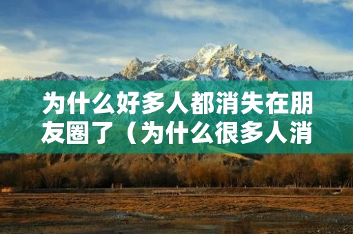 为什么好多人都消失在朋友圈了(为什么很多人消失在朋友圈)