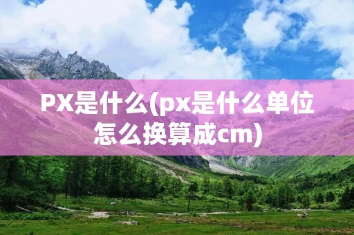 PX是什么(px是什么单位怎么换算成cm) PX是什么(px是什么单位怎么换算成cm)