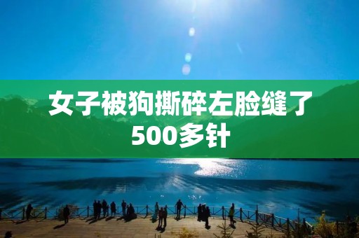 女子被狗撕碎左脸缝了500多针