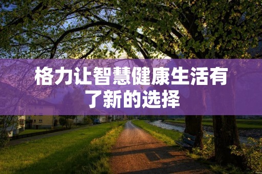 格力让智慧健康生活有了新的选择