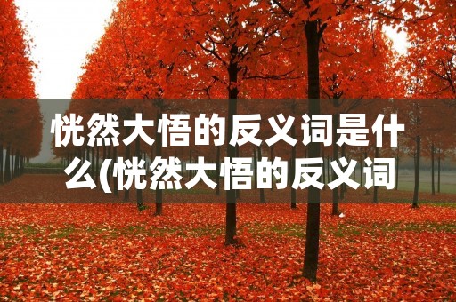恍然大悟的反义词是什么(恍然大悟的反义词是什么 三年级)