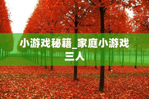 小游戏秘籍_家庭小游戏三人
