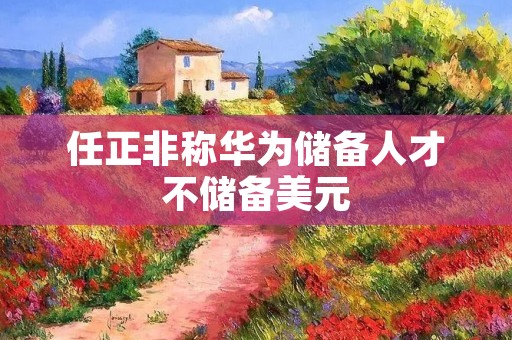 任正非称华为储备人才不储备美元
