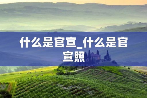 什么是官宣_什么是官宣照