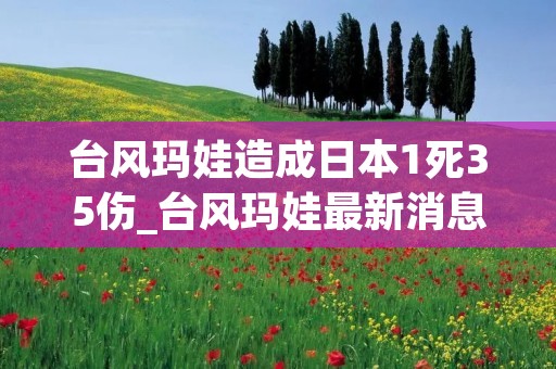 台风玛娃造成日本1死35伤_台风玛娃最新消息新闻 台风玛娃造成日本1死35伤_台风玛娃最新消息新闻