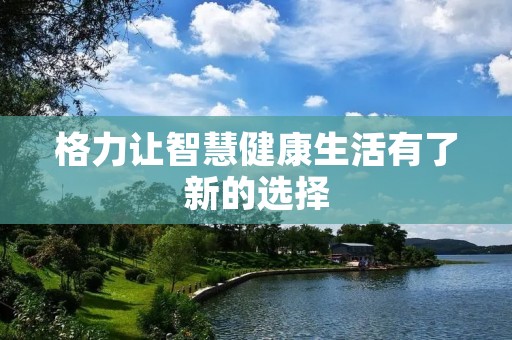 格力让智慧健康生活有了新的选择