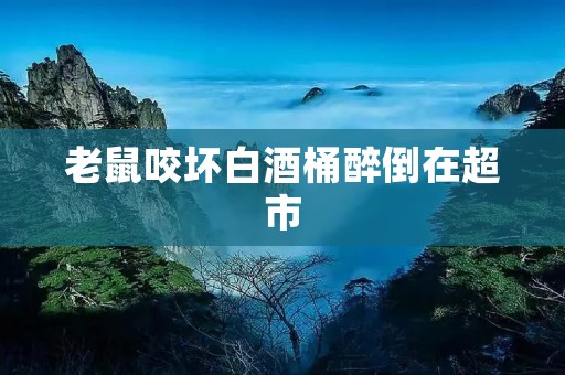 老鼠咬坏白酒桶醉倒在超市