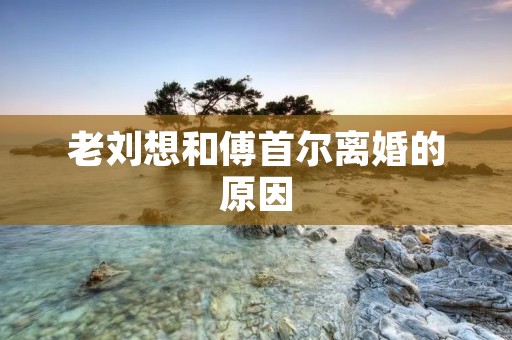 老刘想和傅首尔离婚的原因