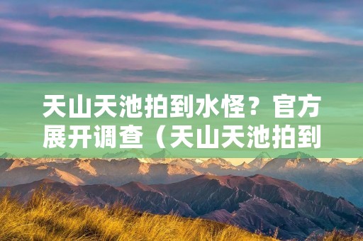 天山天池拍到水怪？官方展开调查（天山天池拍到水怪?官方展开调查）