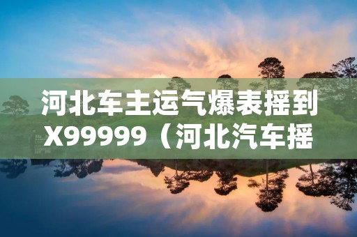 河北车主运气爆表摇到X99999(河北汽车摇号申请网站)
