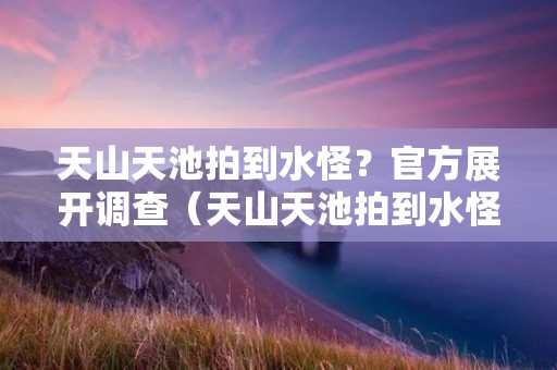 天山天池拍到水怪?官方展开调查(天山天池拍到水怪?官方展开调查)