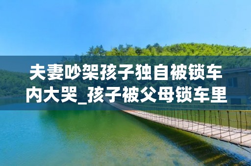 夫妻吵架孩子独自被锁车内大哭_孩子被父母锁车里一天