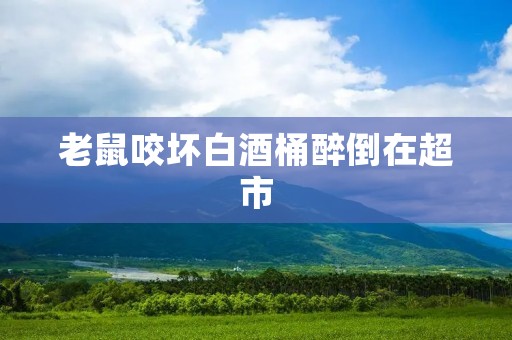 老鼠咬坏白酒桶醉倒在超市