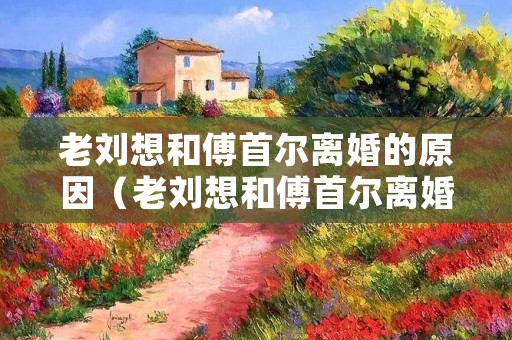 老刘想和傅首尔离婚的原因(老刘想和傅首尔离婚的原因是)